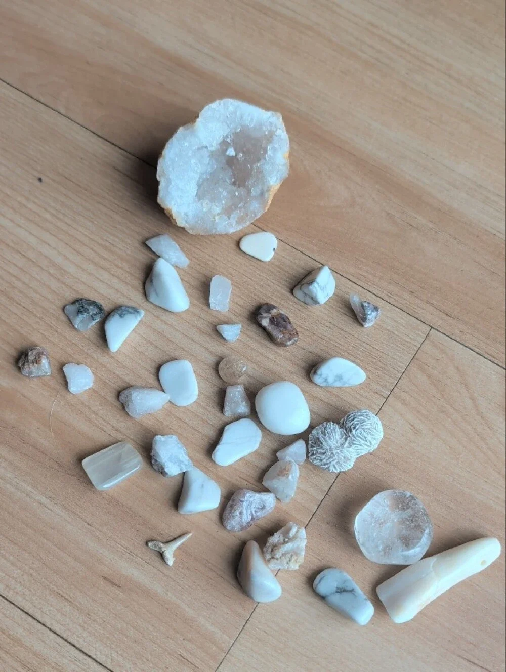 5lb Natural Gemstone & Crystal Collection w/ Storage Case | Tumbled & Raw Minera